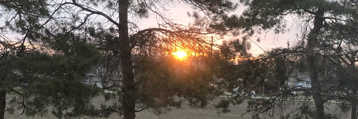 Jan 🇨🇦 Scamper banner