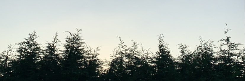 Dequavious Bingleton banner