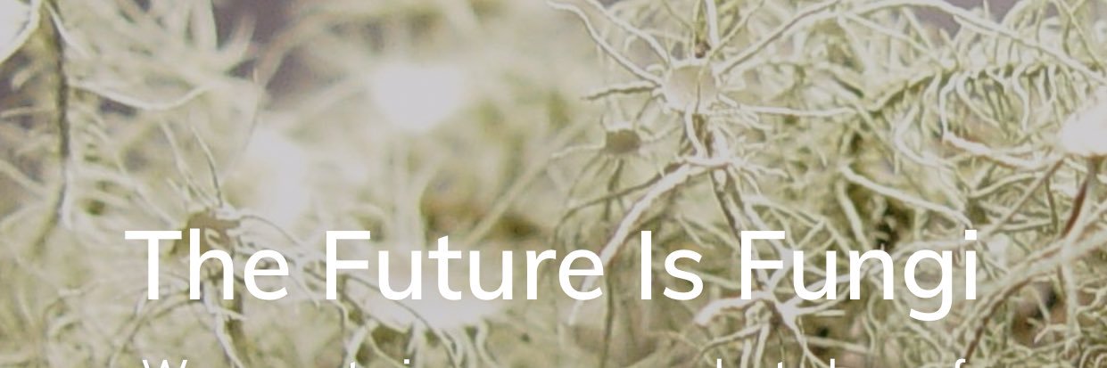 Bterr17's profile banner image