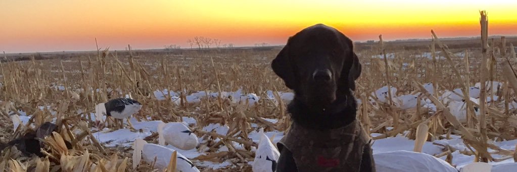 bethgiles8's profile banner image
