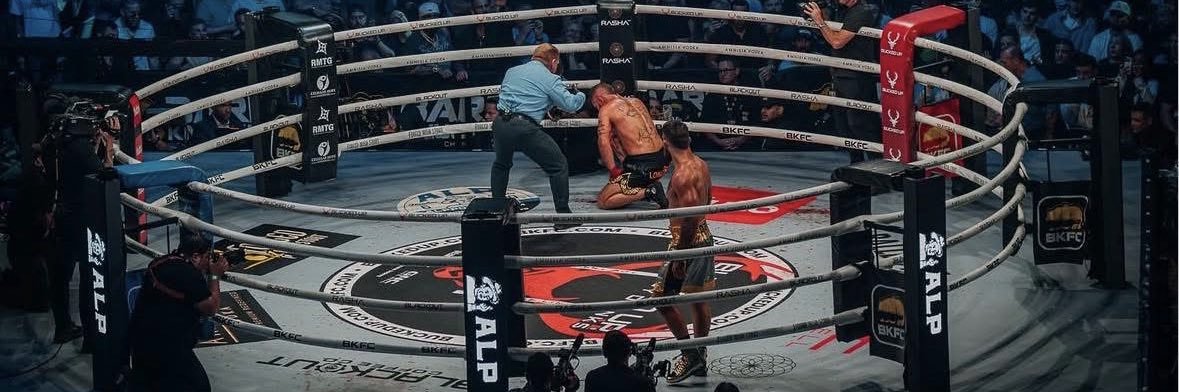 Platinum Mike Perry banner