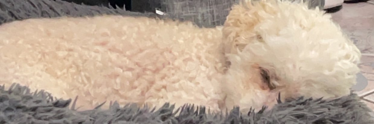 avatarcarly24's profile banner image
