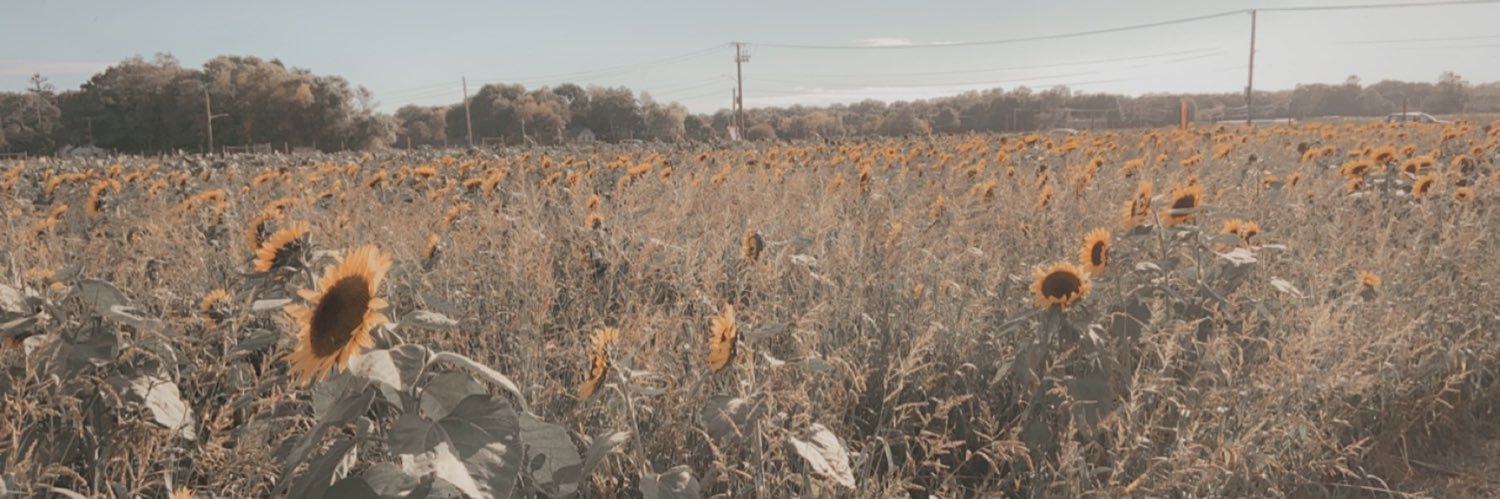 stephsoete's profile banner image
