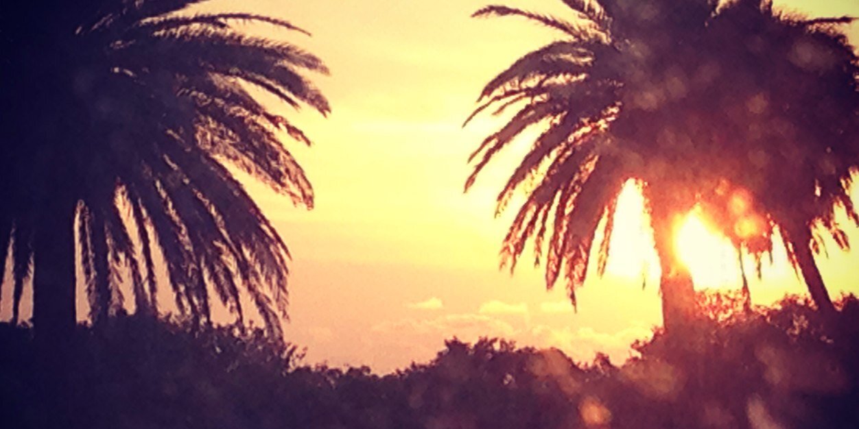 jakiwoods's profile banner image