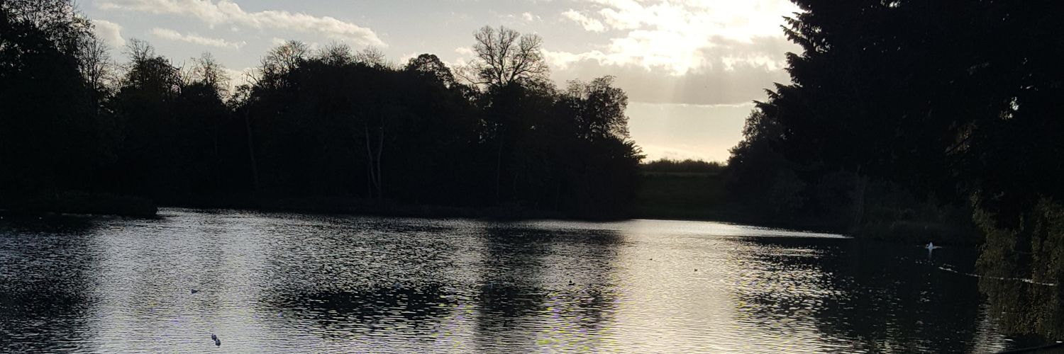 sdinnis's profile banner image