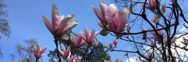 AMVerburg Profile Banner