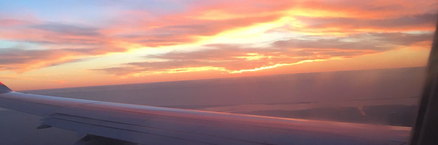 toriwebs's profile banner image