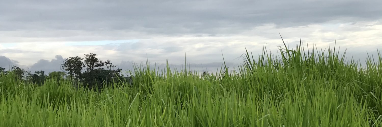 FranAlvear86's profile banner image