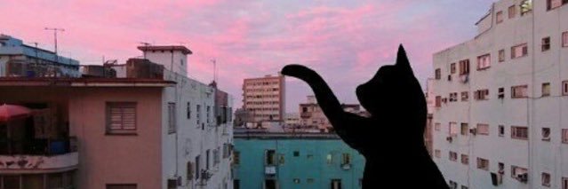 BabyyBopp_'s profile banner image