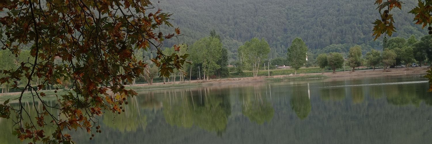 skrnberk2's profile banner image