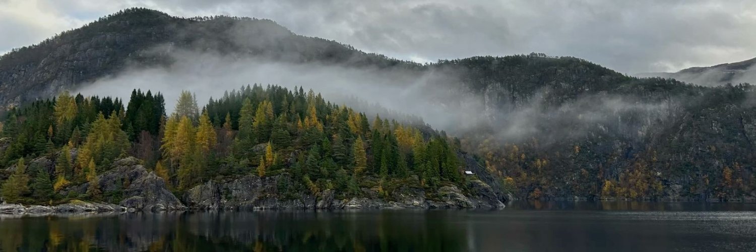 kzeniya's profile banner image