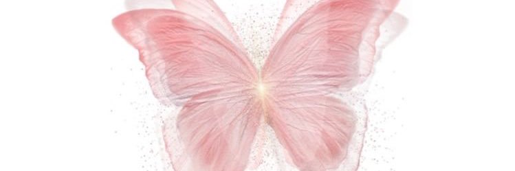 fio_tortos's profile banner image