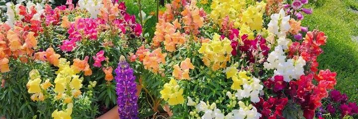38317_B's profile banner image