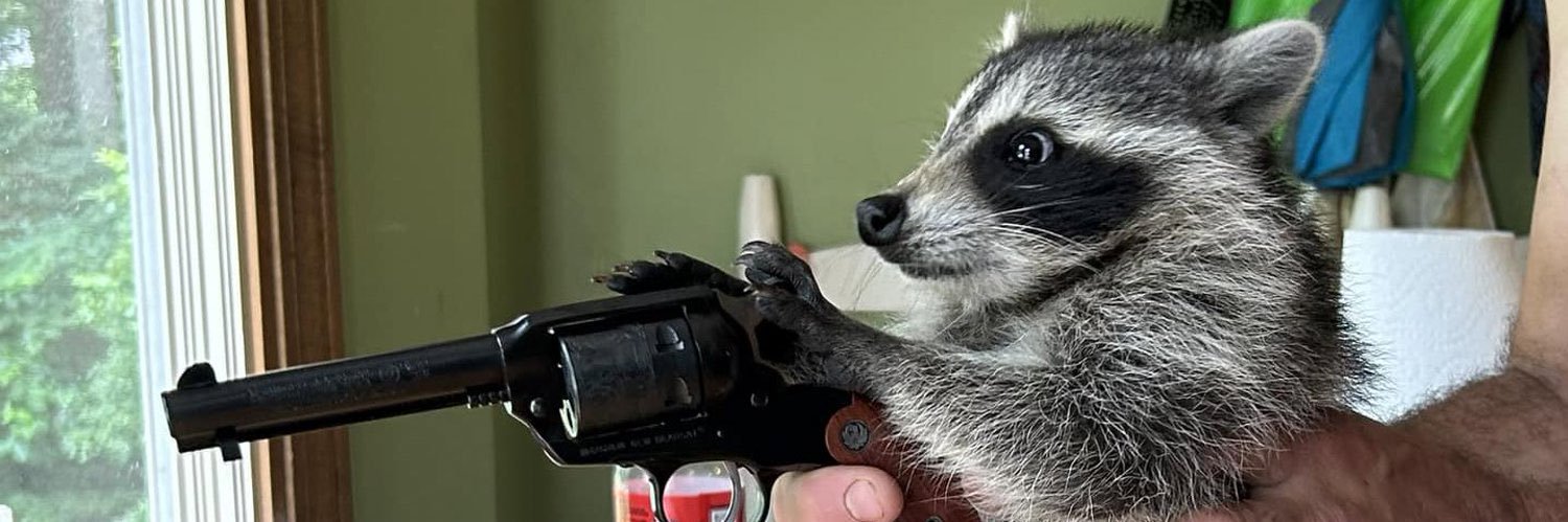 ferapesteguia's profile banner image