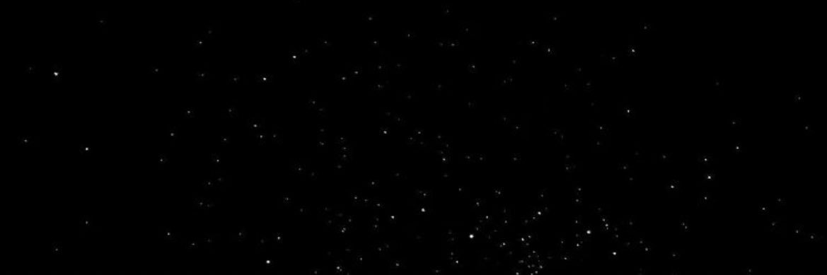 taystandifer's profile banner image
