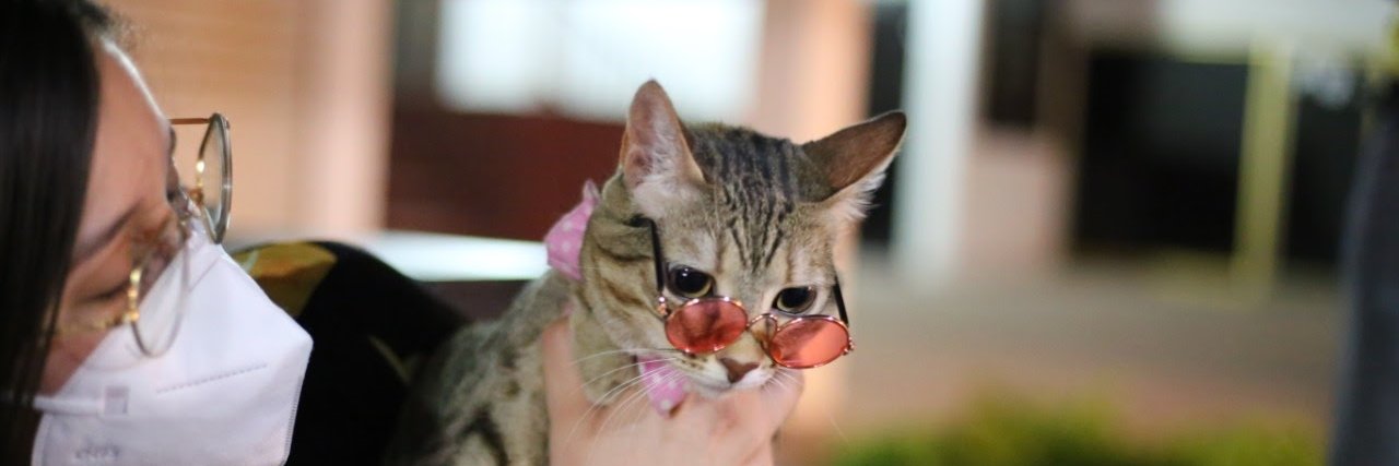 Leclau 💚💜💗 banner