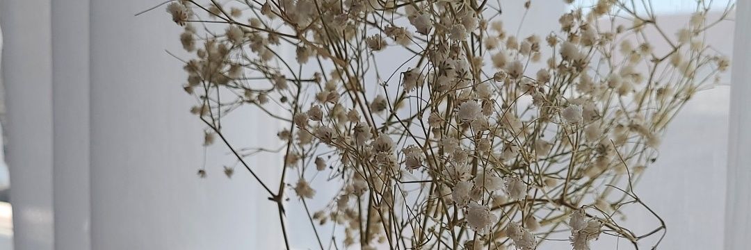 xRevy_'s profile banner image
