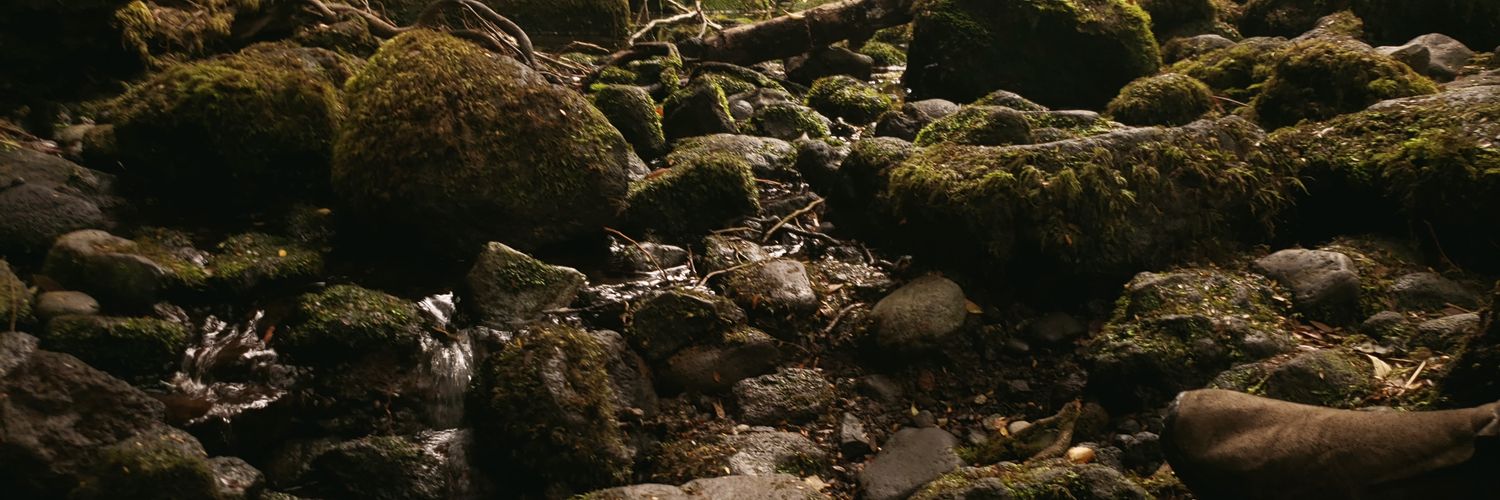 Mr_Entropic's profile banner image