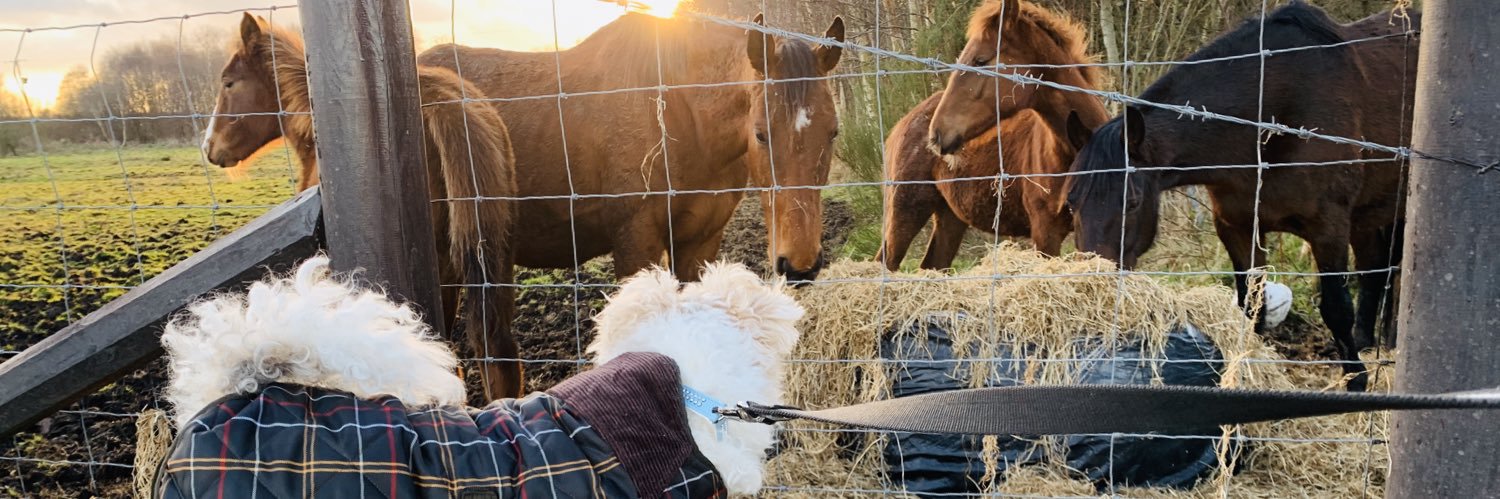 Edward M. Smyth banner