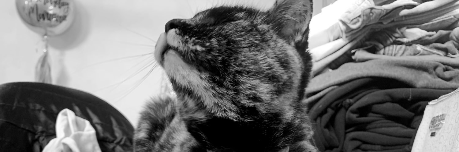 clausdailydiary's profile banner image