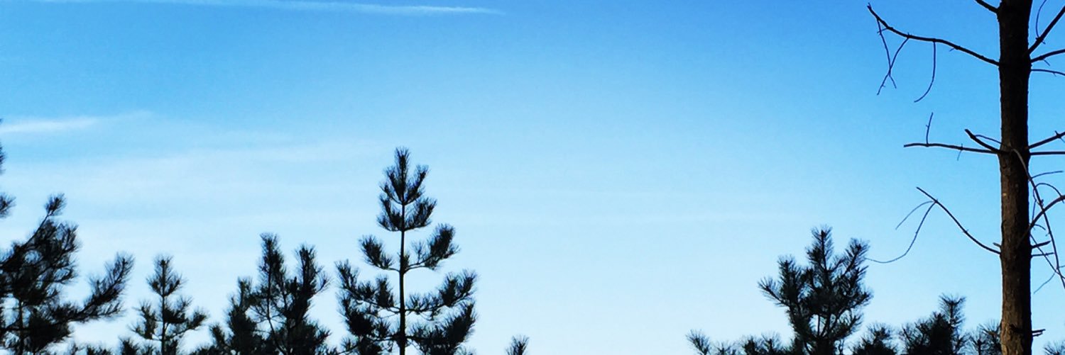 xEdfaulkner's profile banner image