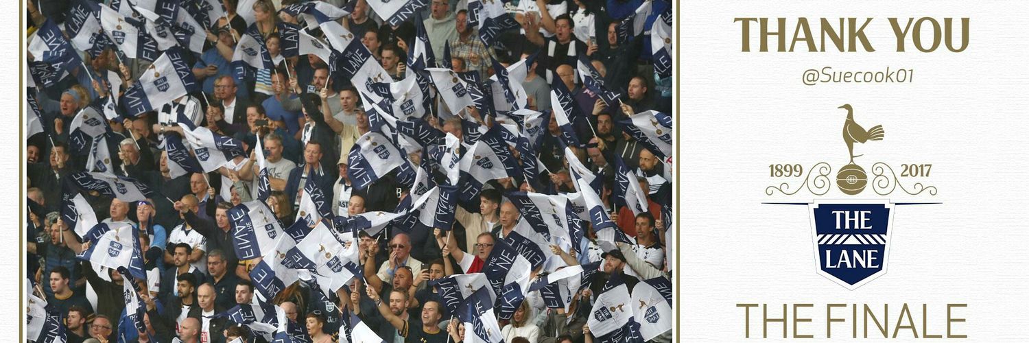 Sue cook banner