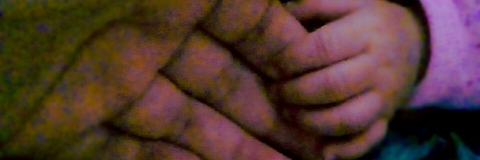 arixdianix's profile banner image