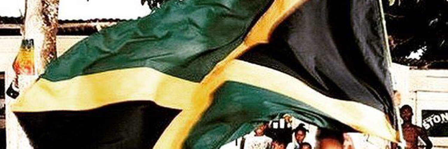 ProjectP__'s profile banner image
