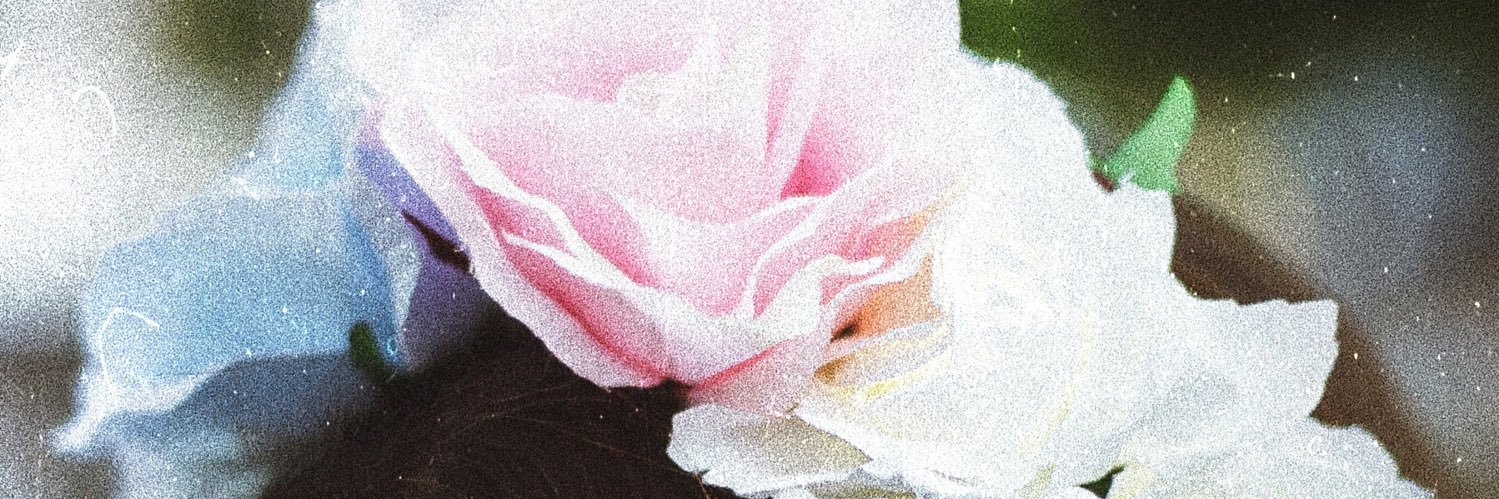 fructusarita's profile banner image