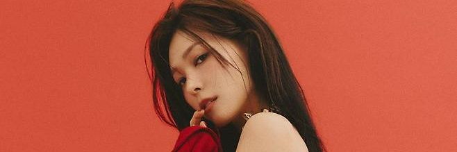 🐰 banner