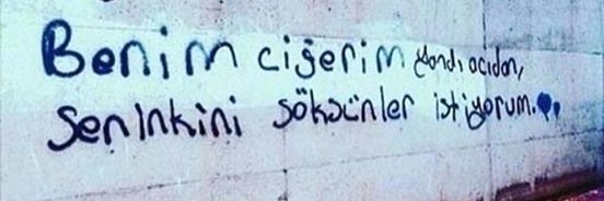 burcukrdglu's profile banner image