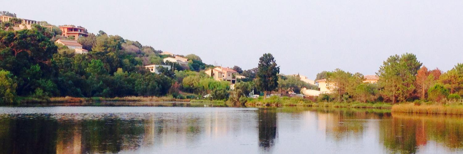 broussot's profile banner image