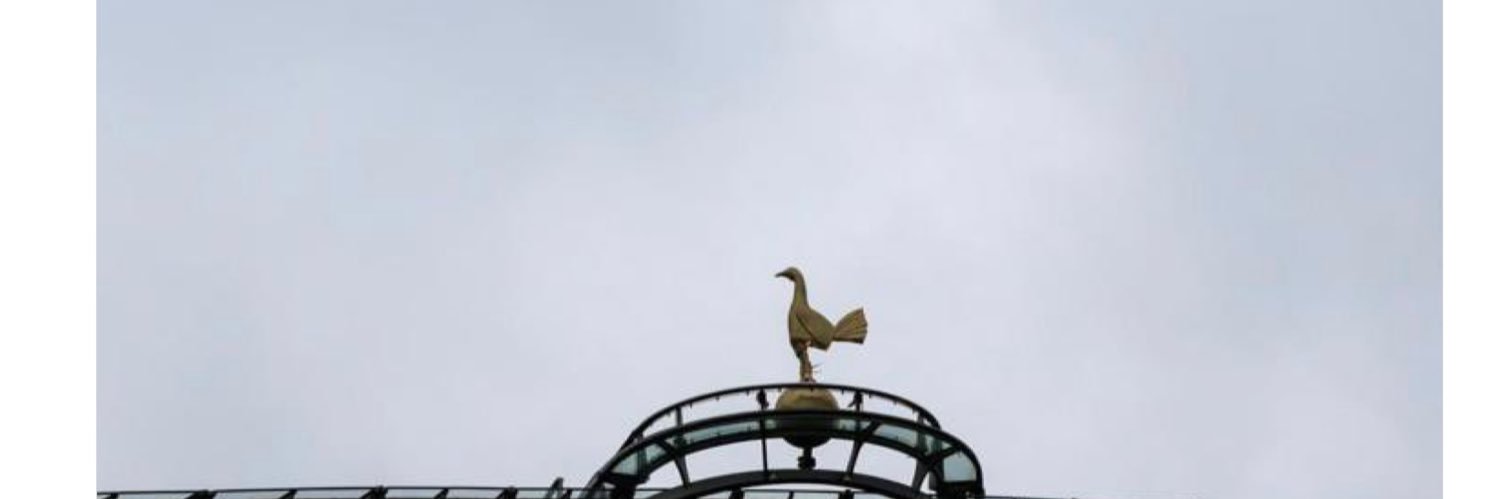 DaveBall65's profile banner image