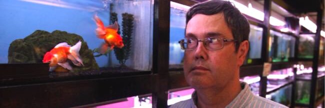 Peter F. Jackson 🇨🇦 🇺🇦🪦 banner