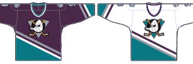 AMRHL Ducks banner