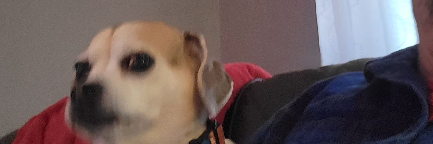 TownsonFrank's profile banner image