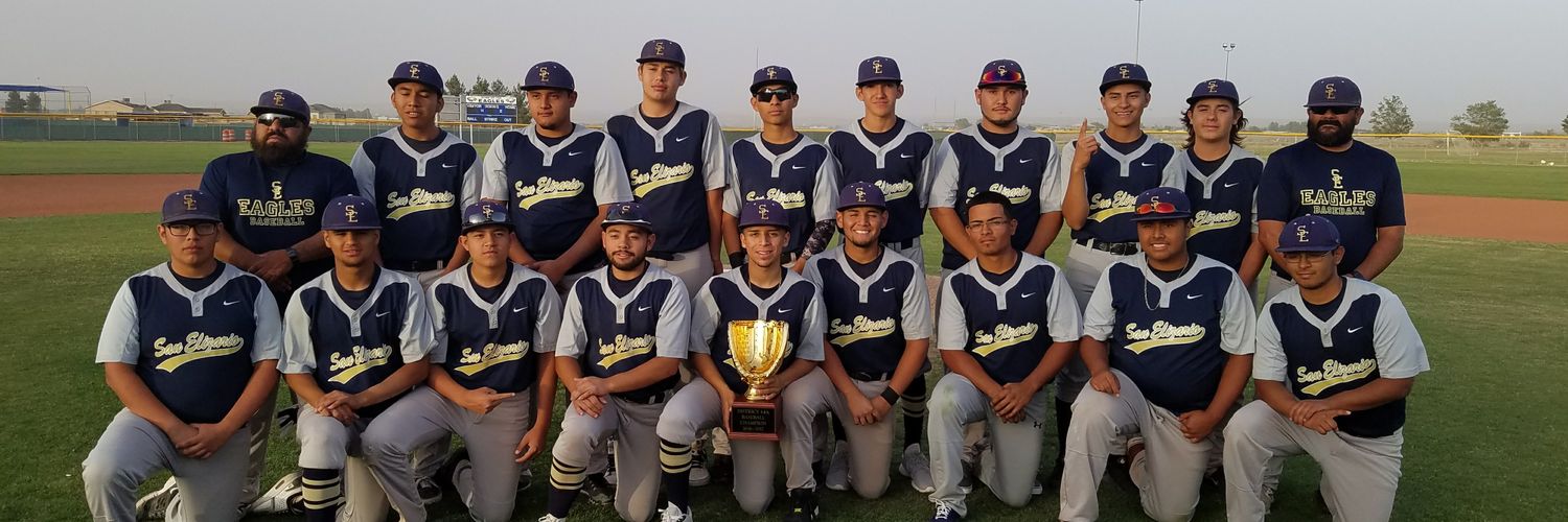 SEHS Eagles Baseball banner