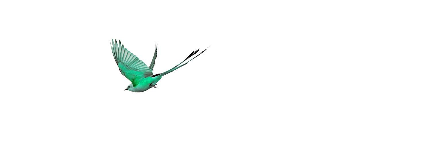 preeninc's profile banner image