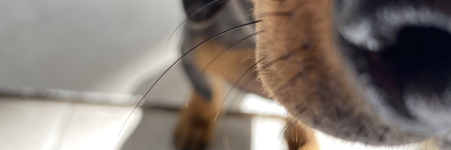 mnazarenaf's profile banner image