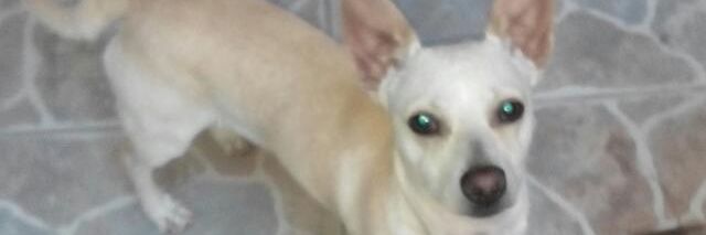 LiliaEdith4's profile banner image