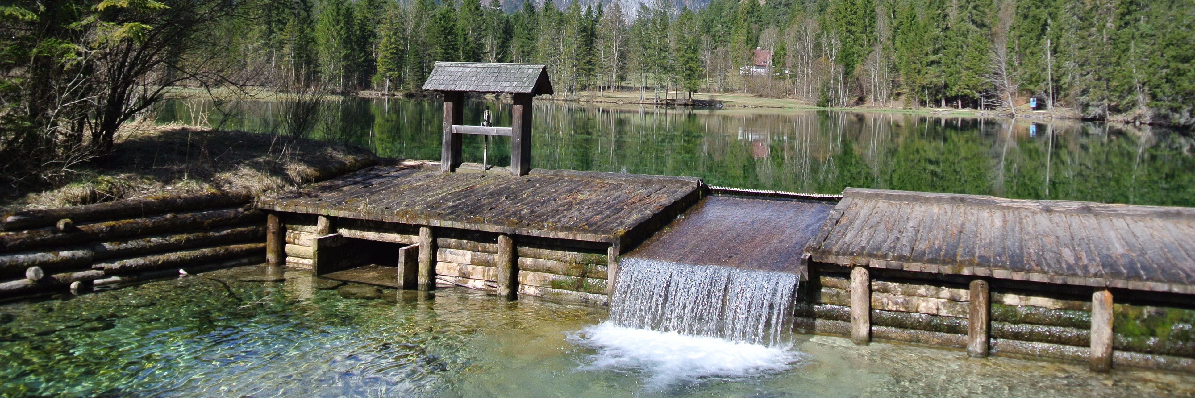 Tomáš Turek banner