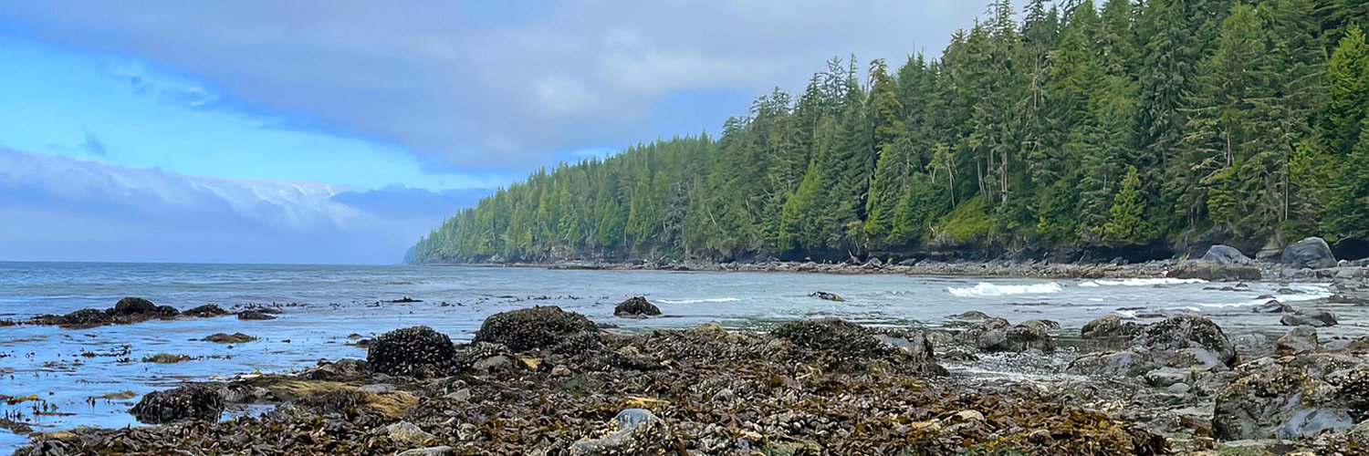 Merna Forster banner