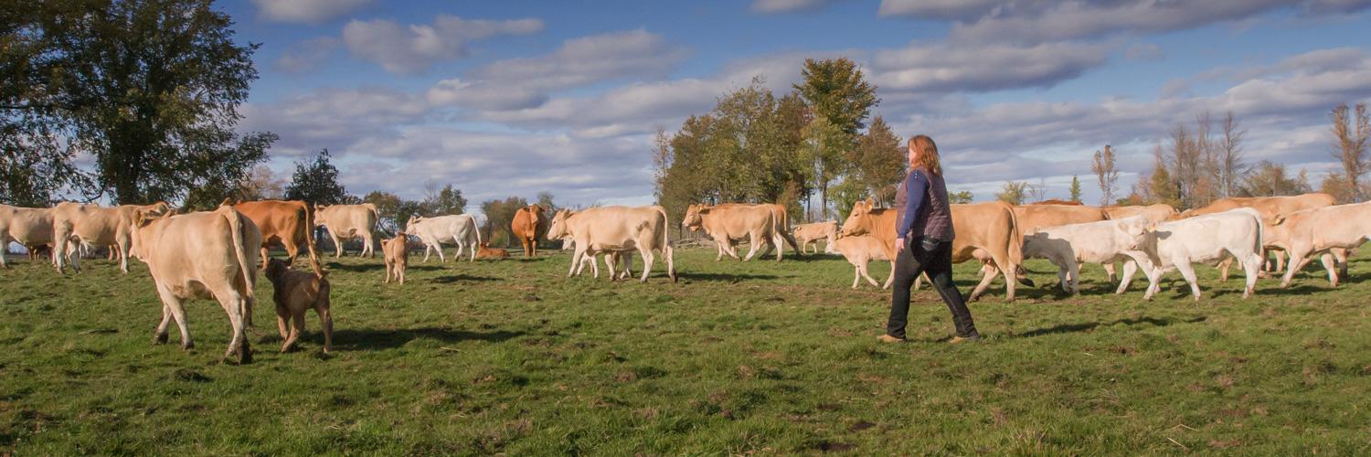 RiverRun Farms banner