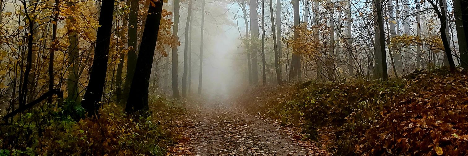 jengardner5's profile banner image