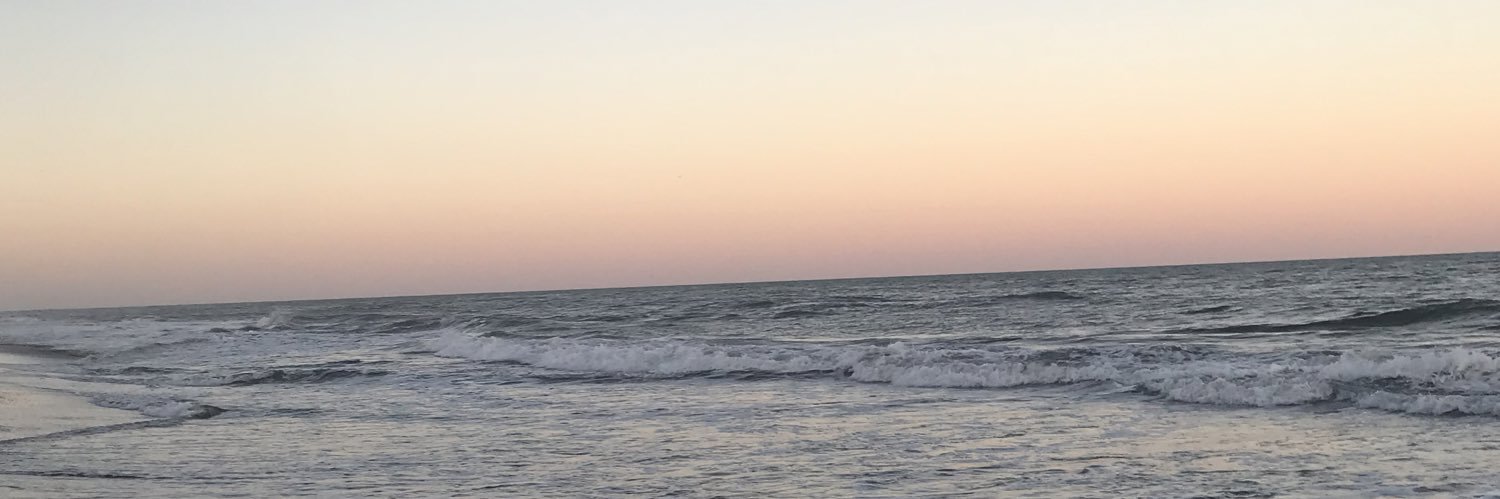 bian_calloni's profile banner image