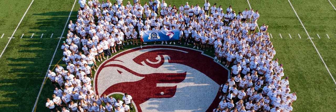 fsfalcons's profile banner image