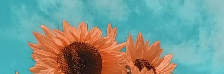 fulano0118's profile banner image