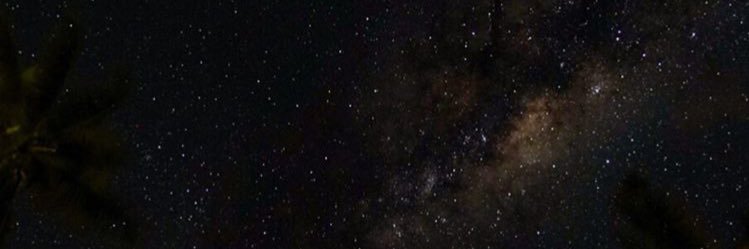 ursulawelp's profile banner image