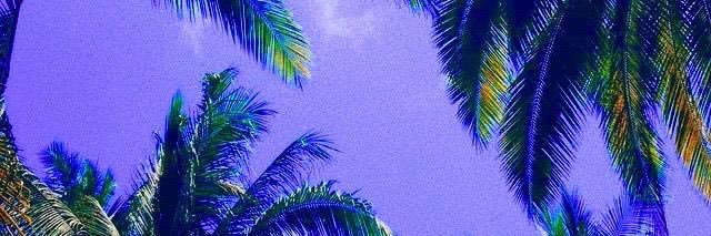 kayambz's profile banner image