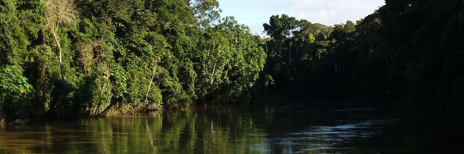 Peter 🇪🇨 banner